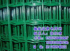 高品质焊接网系列 美格网、荷兰网、电焊网、护栏网、建筑网片优惠价格大放送